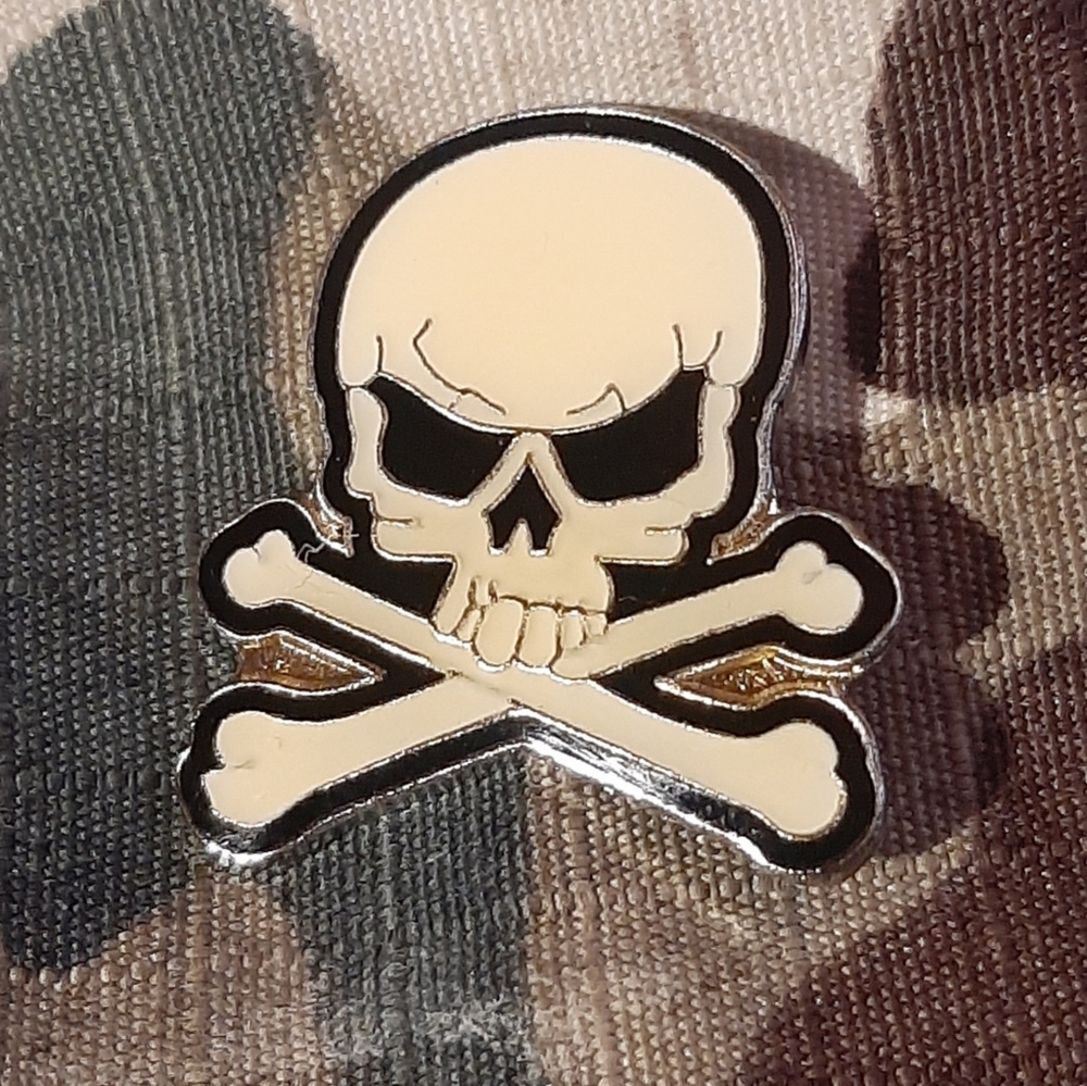 Skull And Bones Hat/Lapel Pin